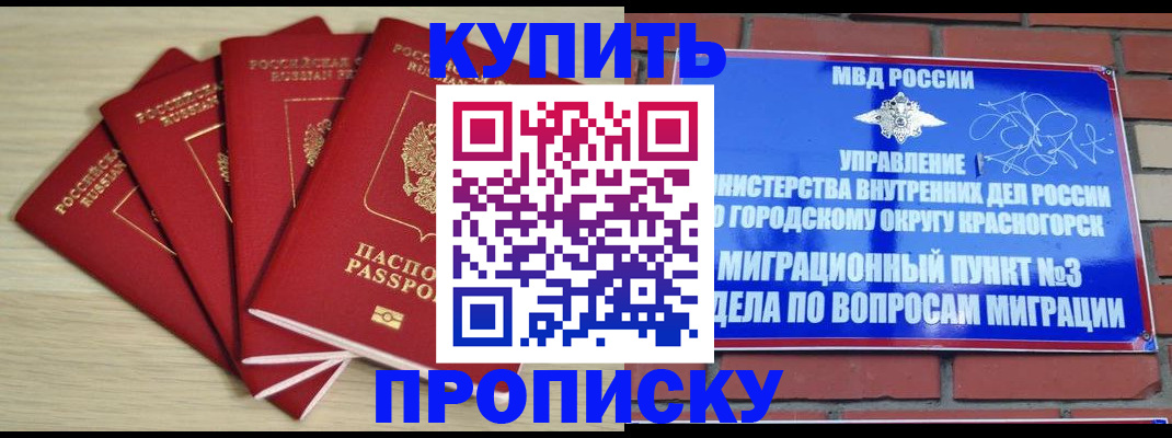 временная регистрация для всех в Николаевске